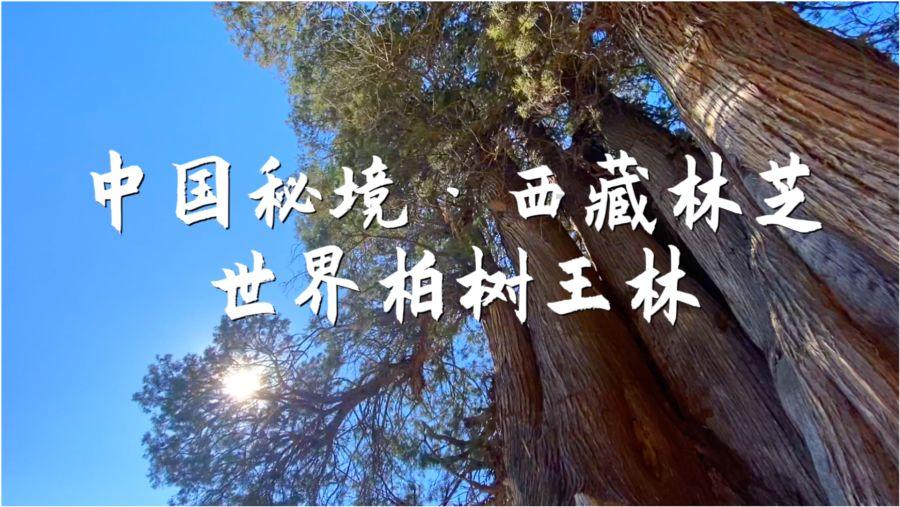 win11关机自动更新超过一个小时,怎么办平台-专注于建立交流社区